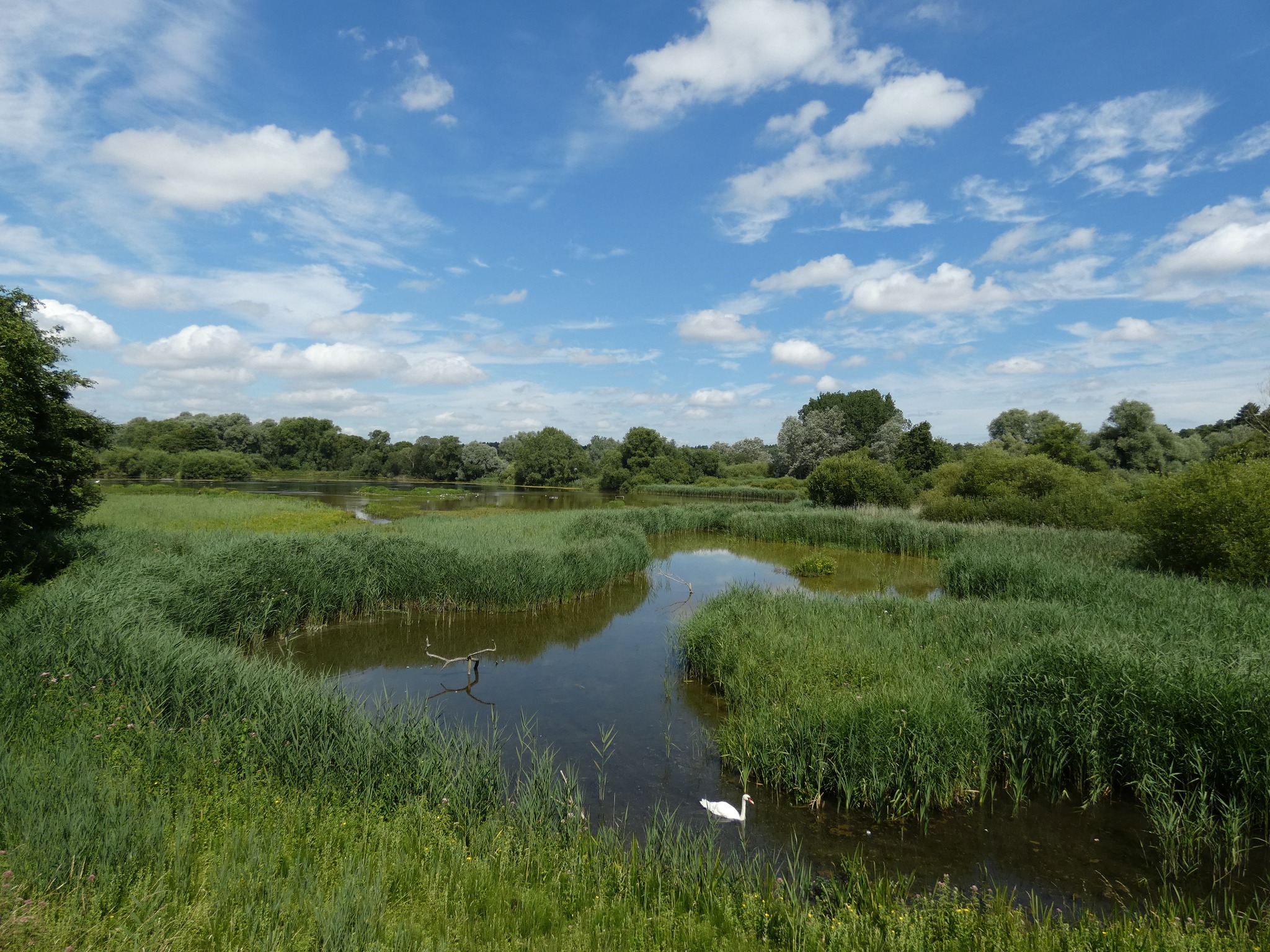 Wild Tots at Lackford Lakes's main image