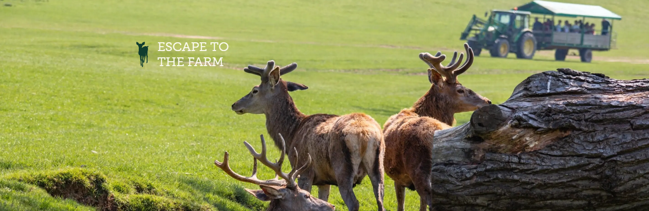 Bucklebury Farm and Deer Safari Park's main image