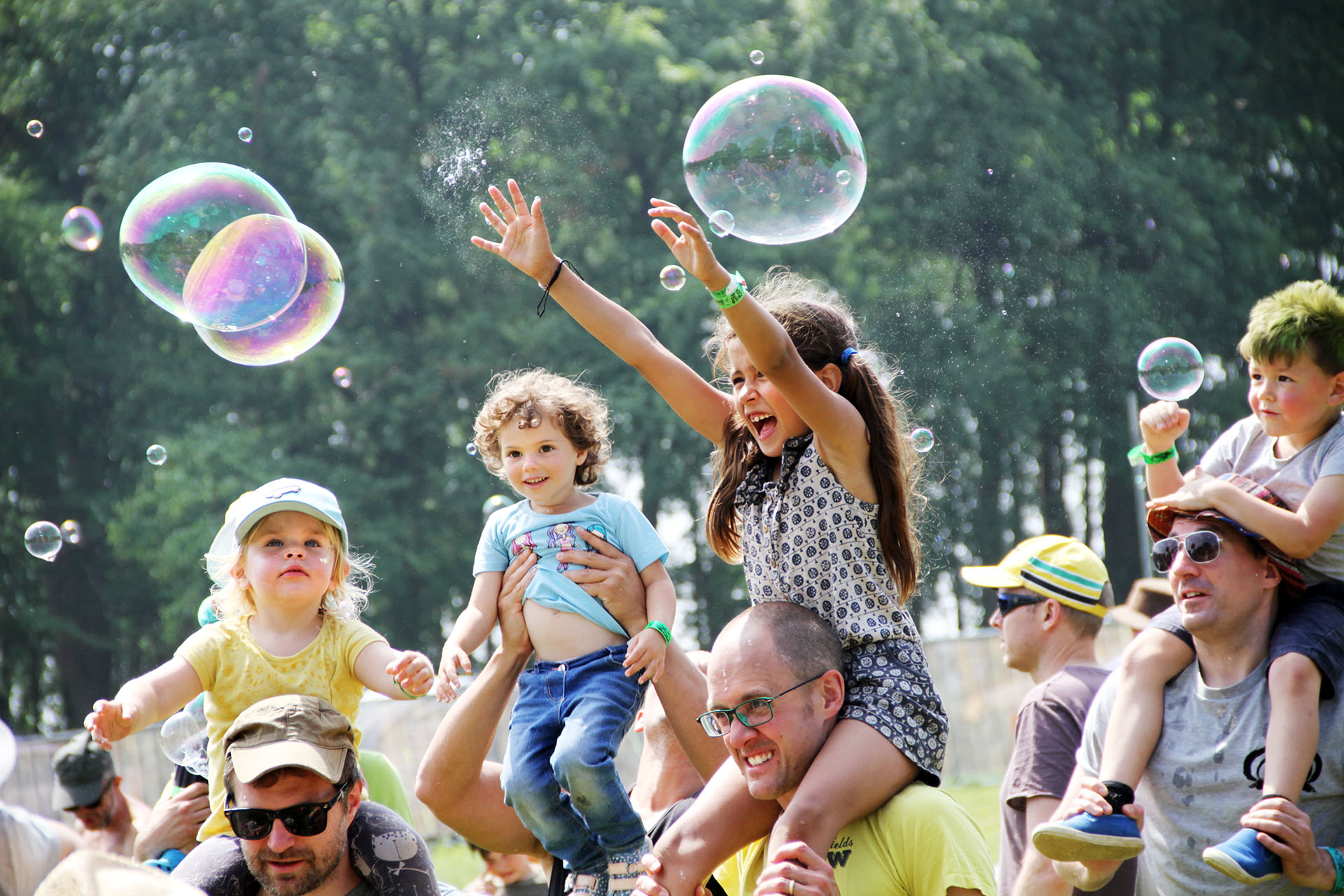 Elderflower Fields Family Festival's main image