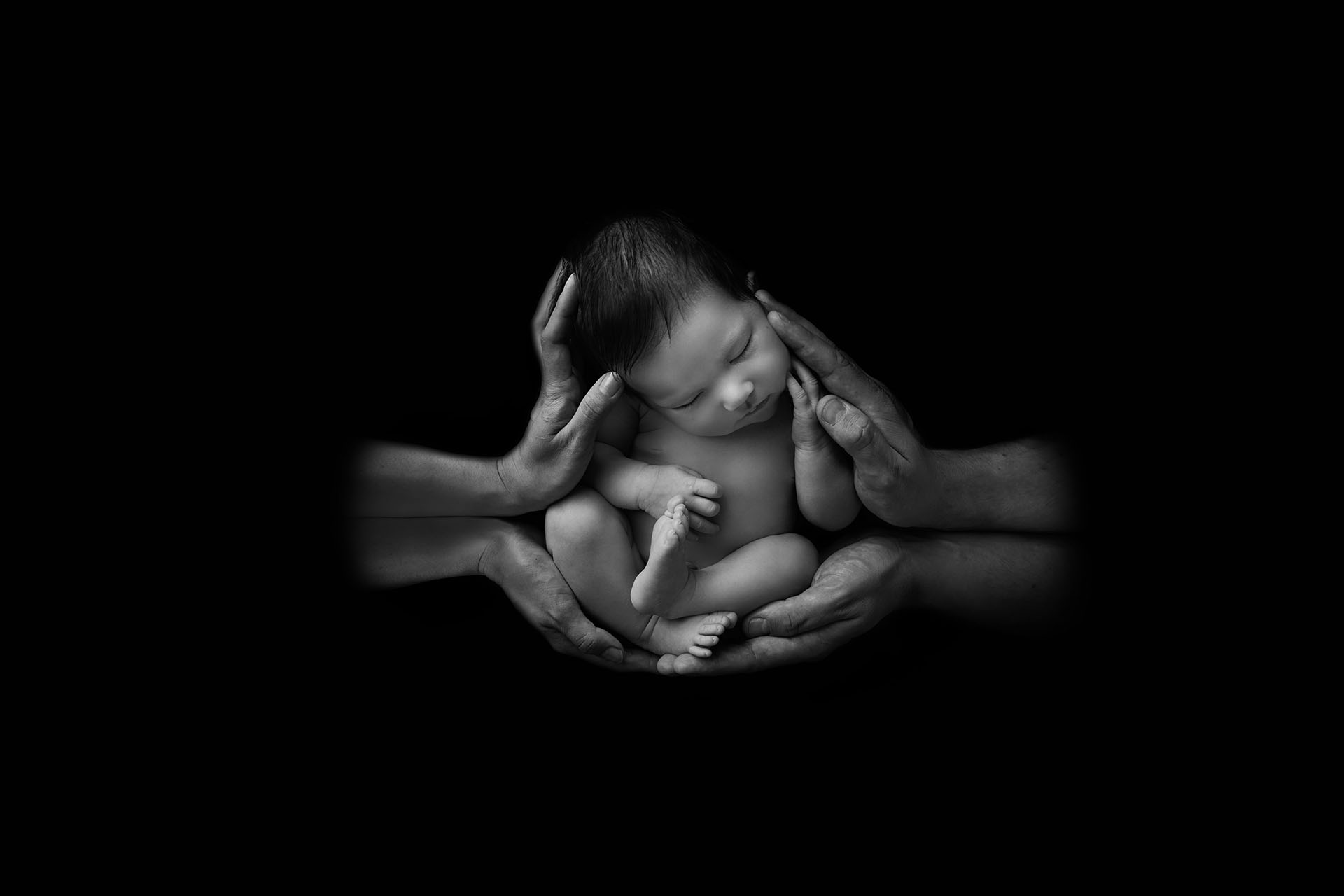 Olive Branch Photography - Derbyshire and West Midlands's main image