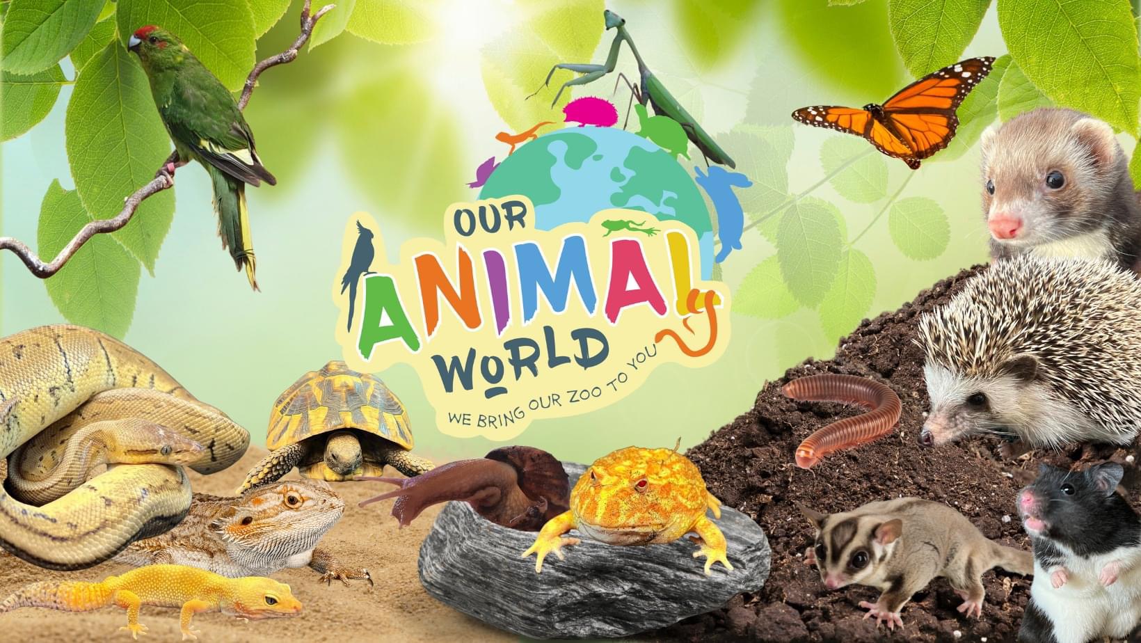 Our Animal World's main image