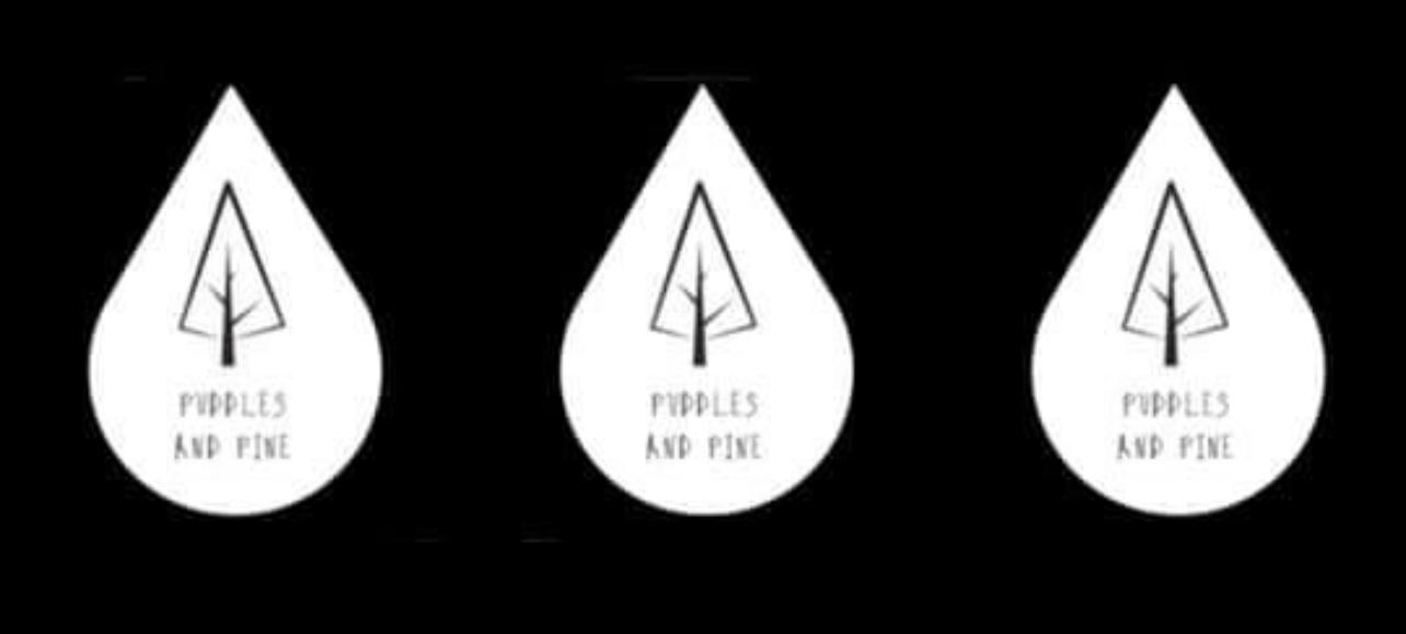 Puddles and Pine Forest School 's logo