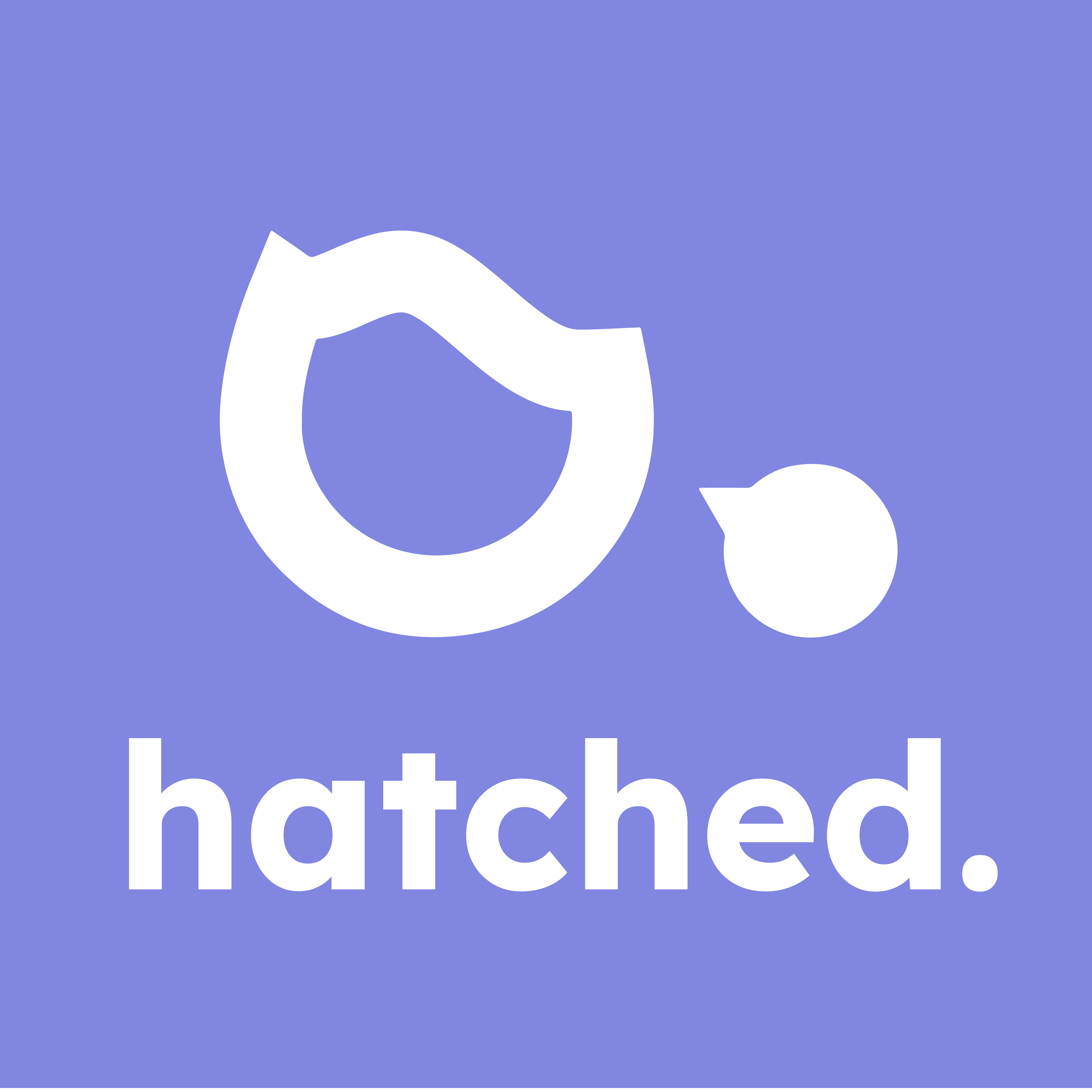 Hatched's logo