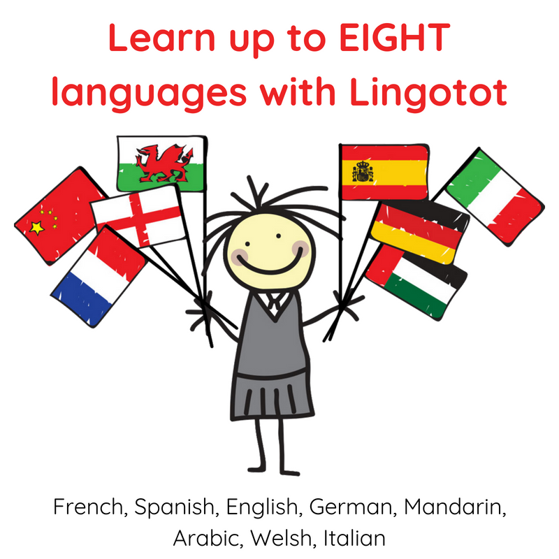 Lingotot Rugby's main image