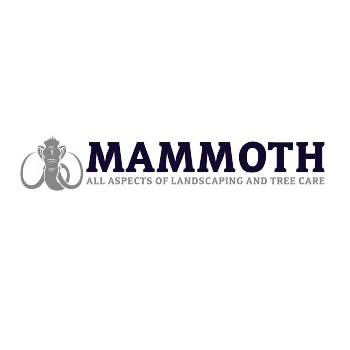 Mammoth Services Aylesbury's logo