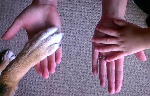 Dogs Bumps Babies & Beyond's main image