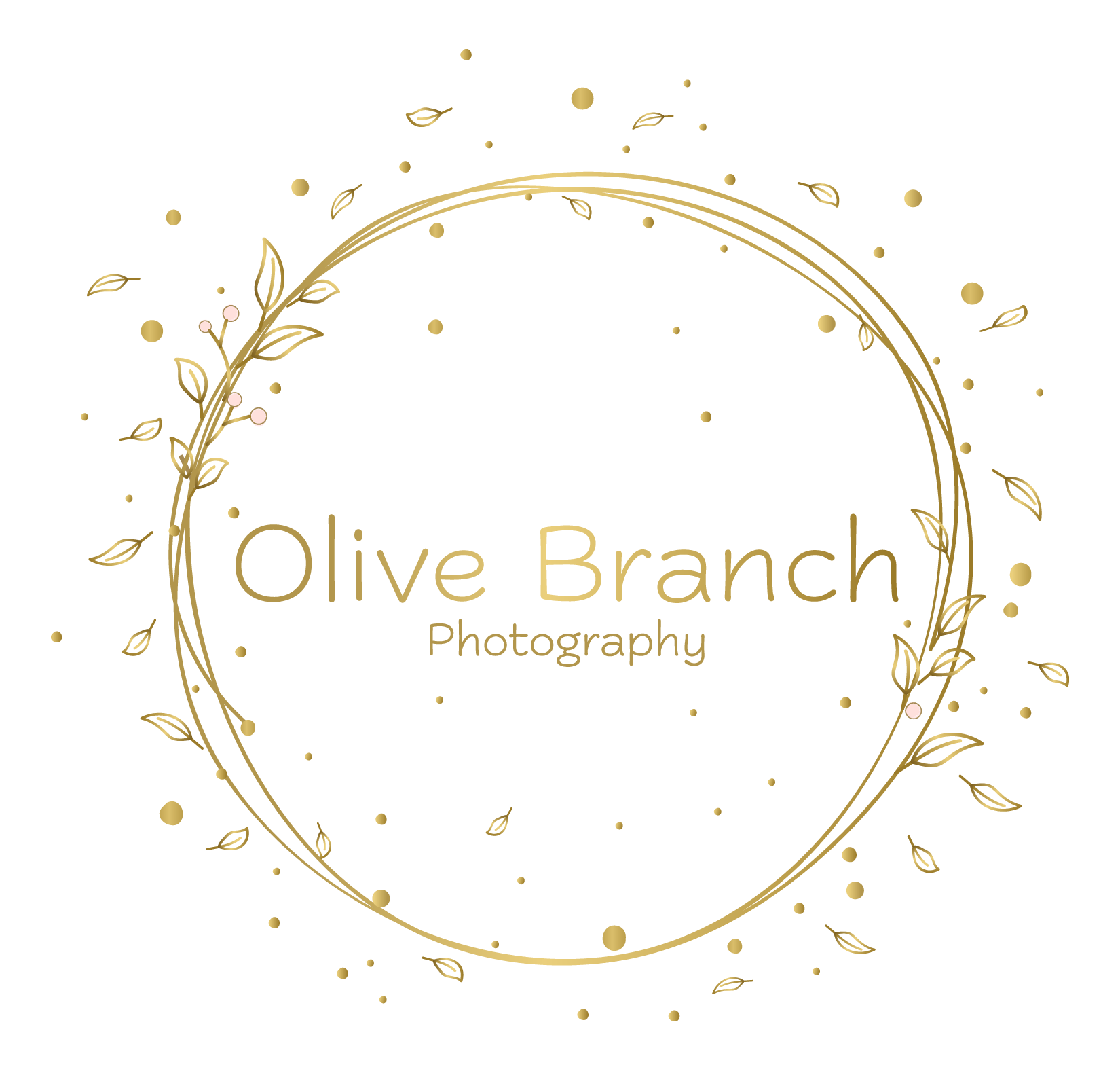 Olive Branch Photography - Derbyshire and West Midlands's logo