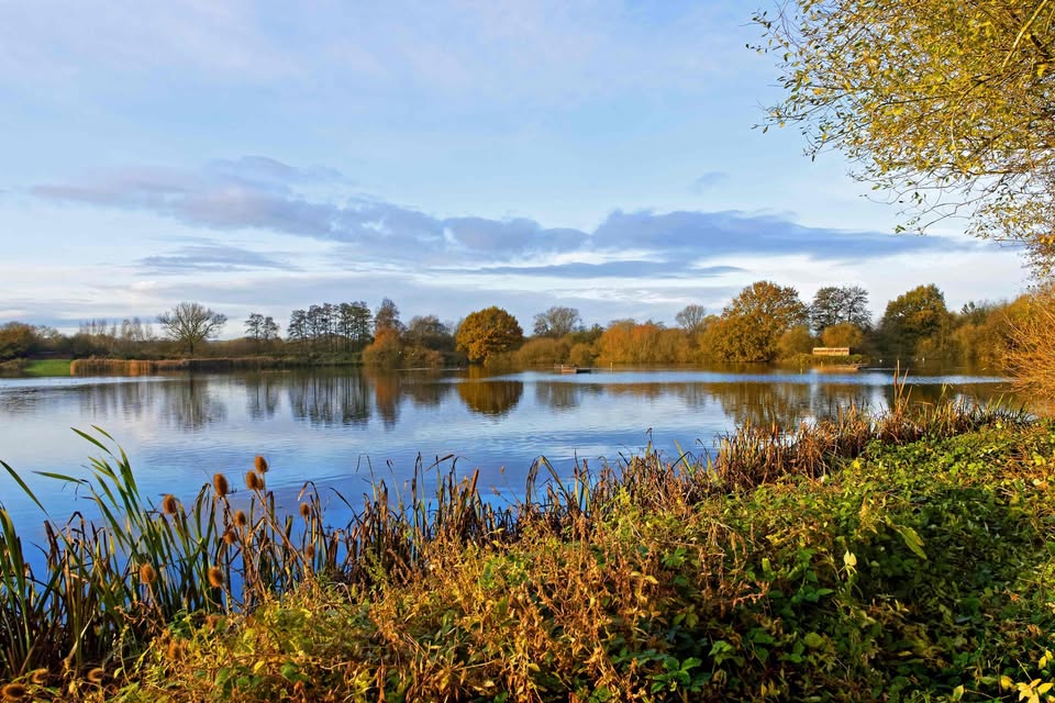 Warwickshire Wildlife Trust's main image