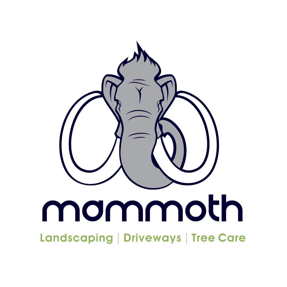 Mammoth Services Ltd's logo