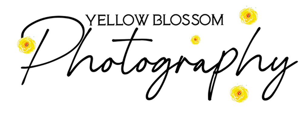 Yellow Blossom Photography's logo