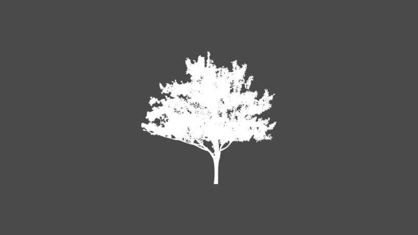 The Wilderness Coach 's main image