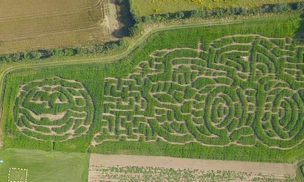 Farmer John's Pumpkin Patch and Maize Maze's main image