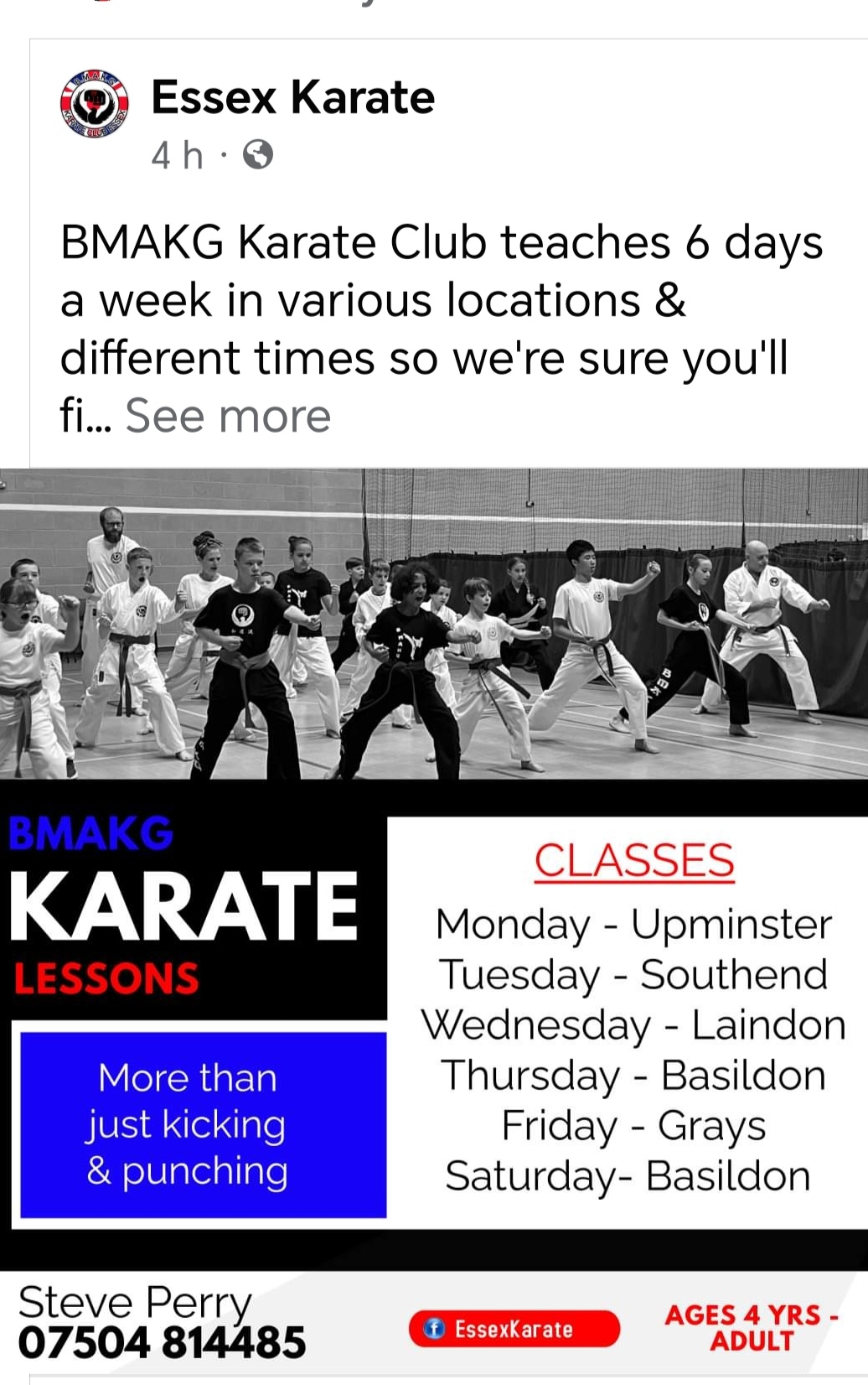 Bmakg essexkarate club's logo