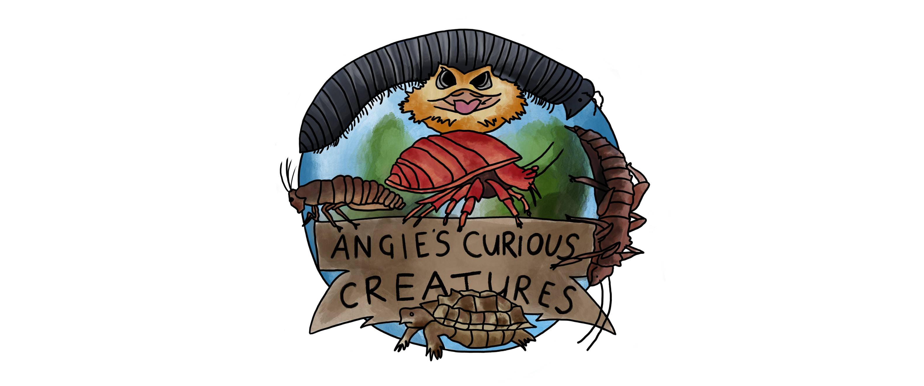 Angie’s Curious Creatures's logo