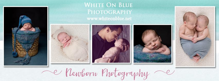 White on Blue Photography 's main image