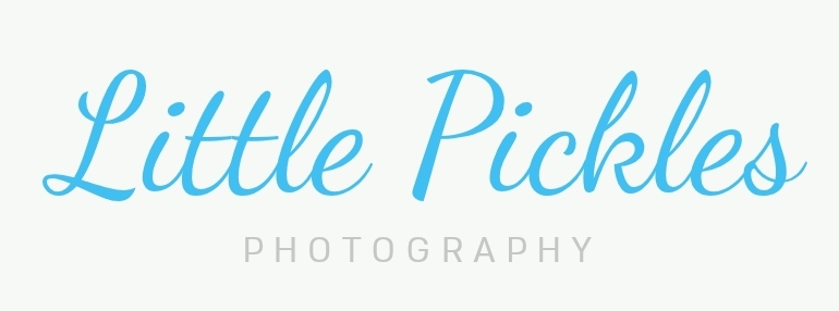 Little pickles photography 's logo