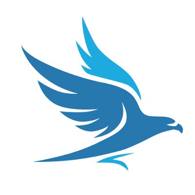 Blue Falcon Publishing's logo