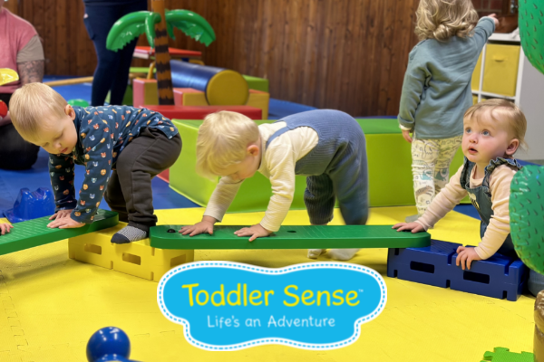 Baby Sensory and Toddler Sense Andover & Winchester's main image