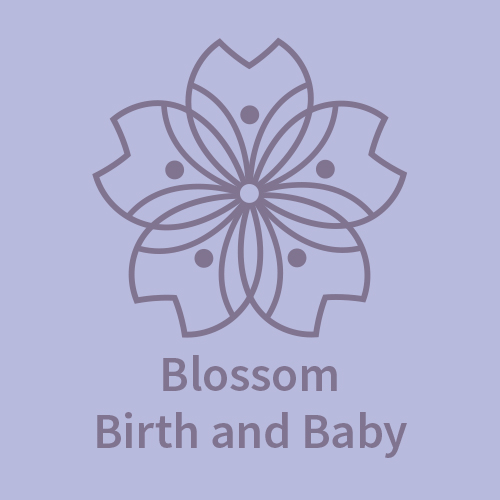 Blossom Birth and Baby (previously The Daisy Foundation, Bury St Eds)'s logo