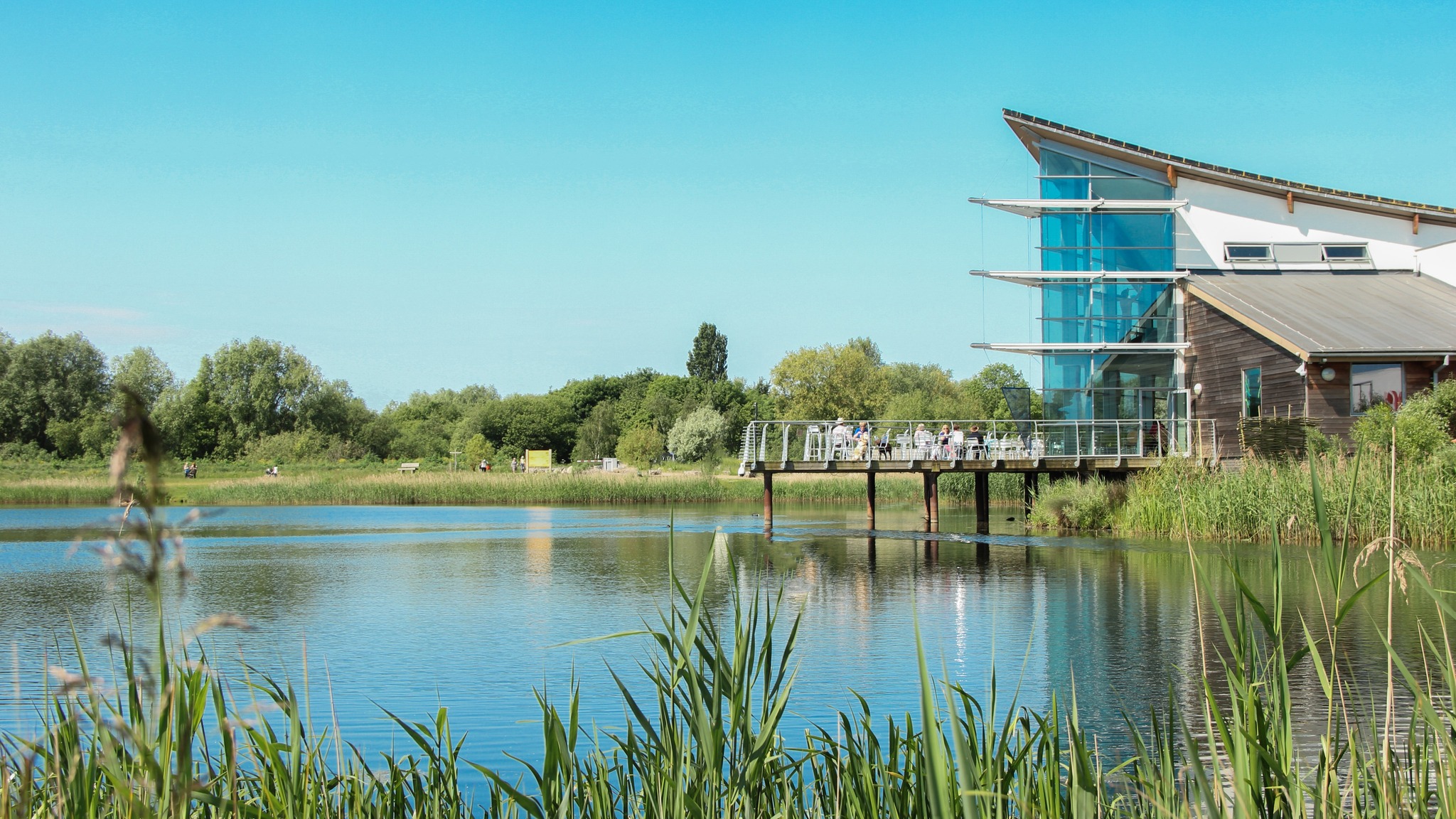 Stanwick Lakes's main image