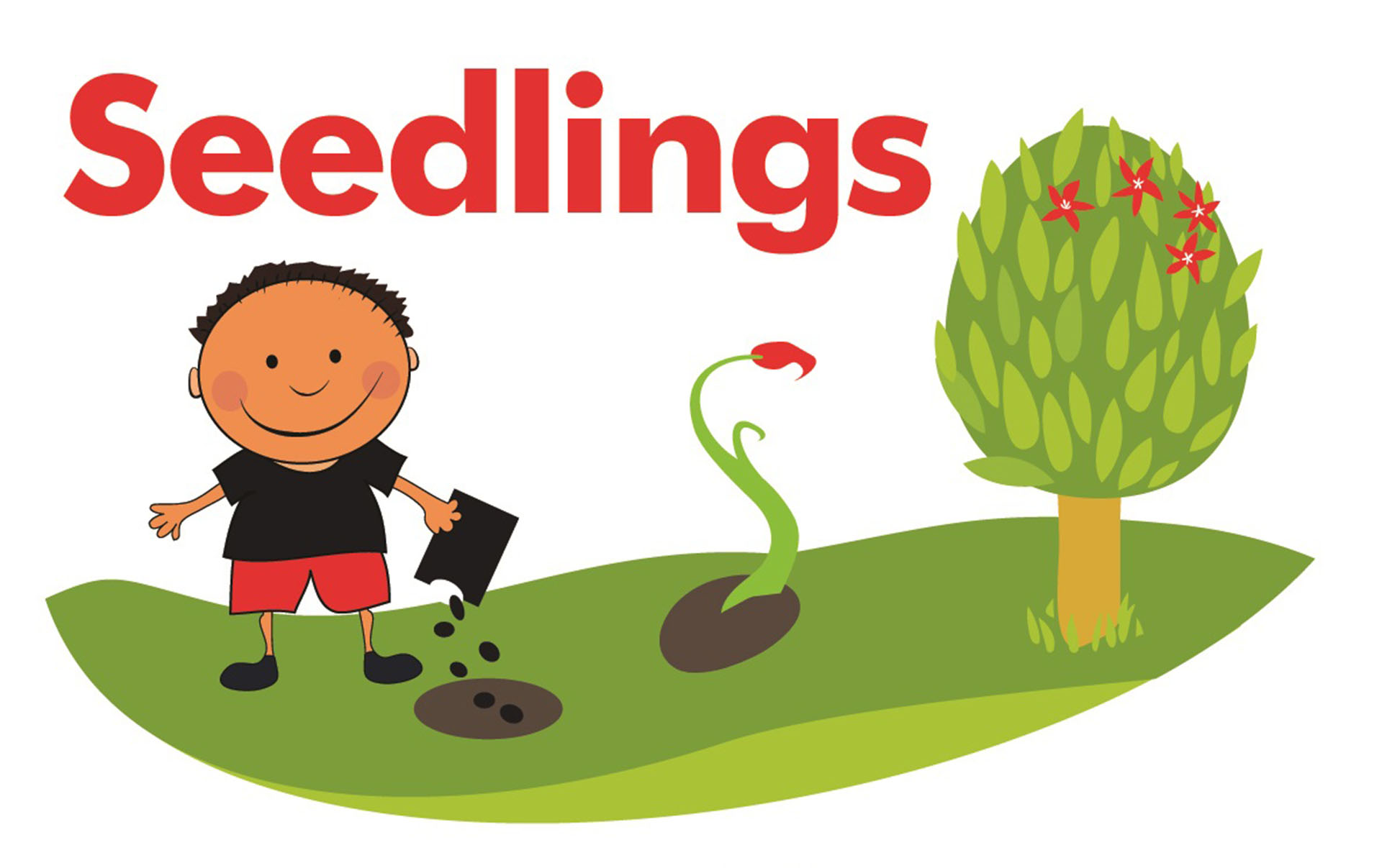 Seedlings Children Centre's logo
