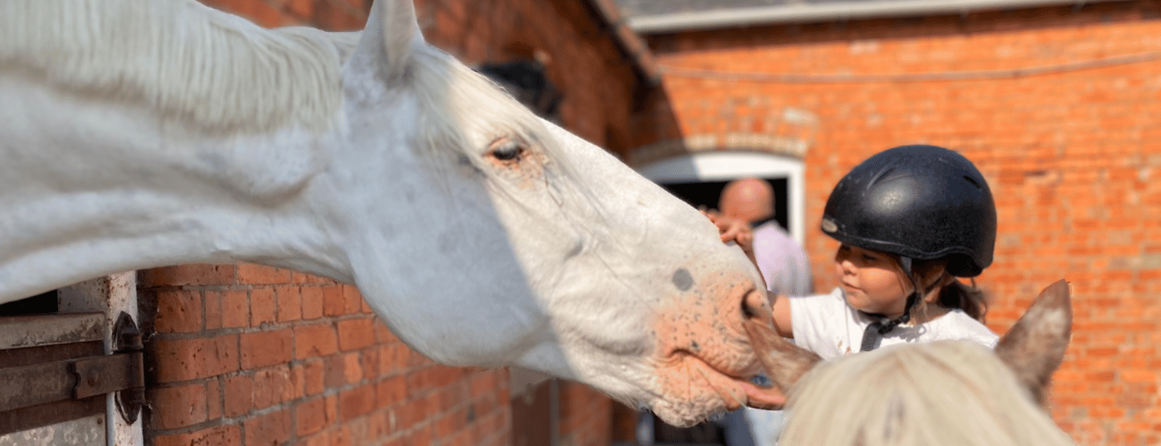 Ride High Equestrian Centre's main image