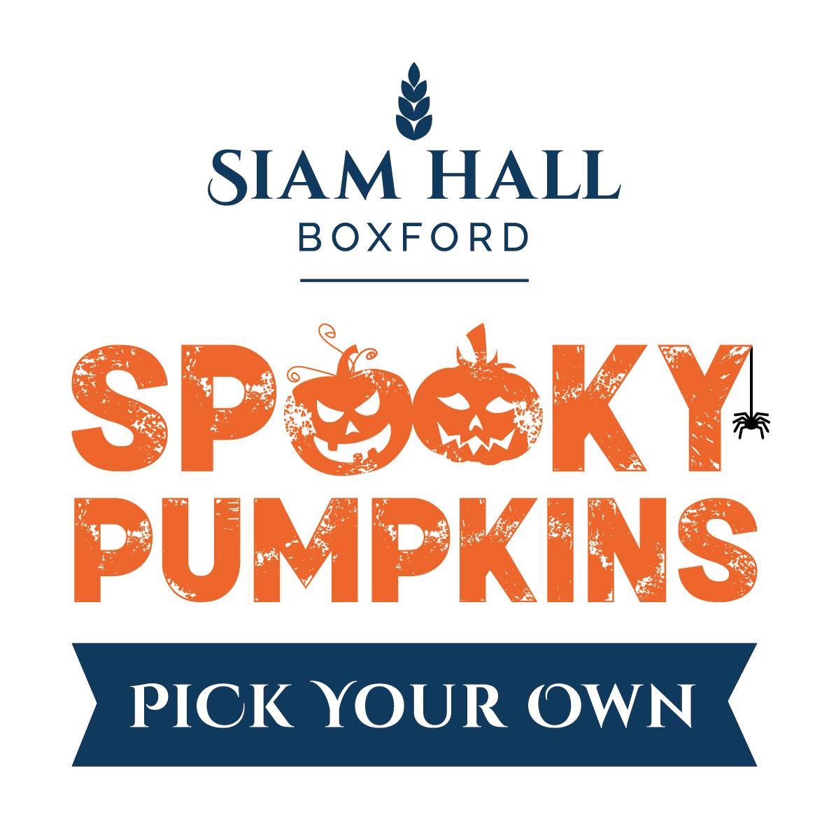 Siam Hall Spooky Pumpkins 's logo