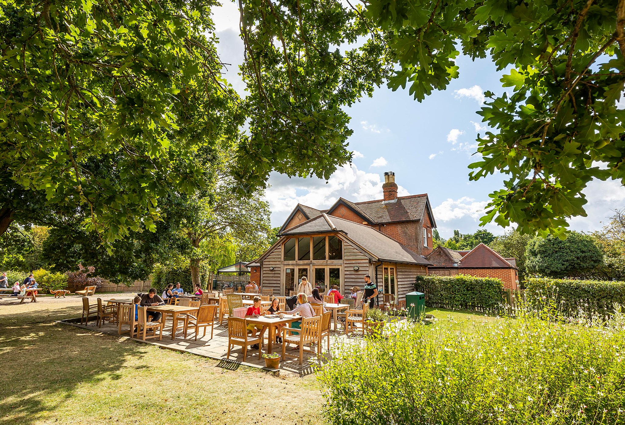 Dinton Pastures Country Park's main image