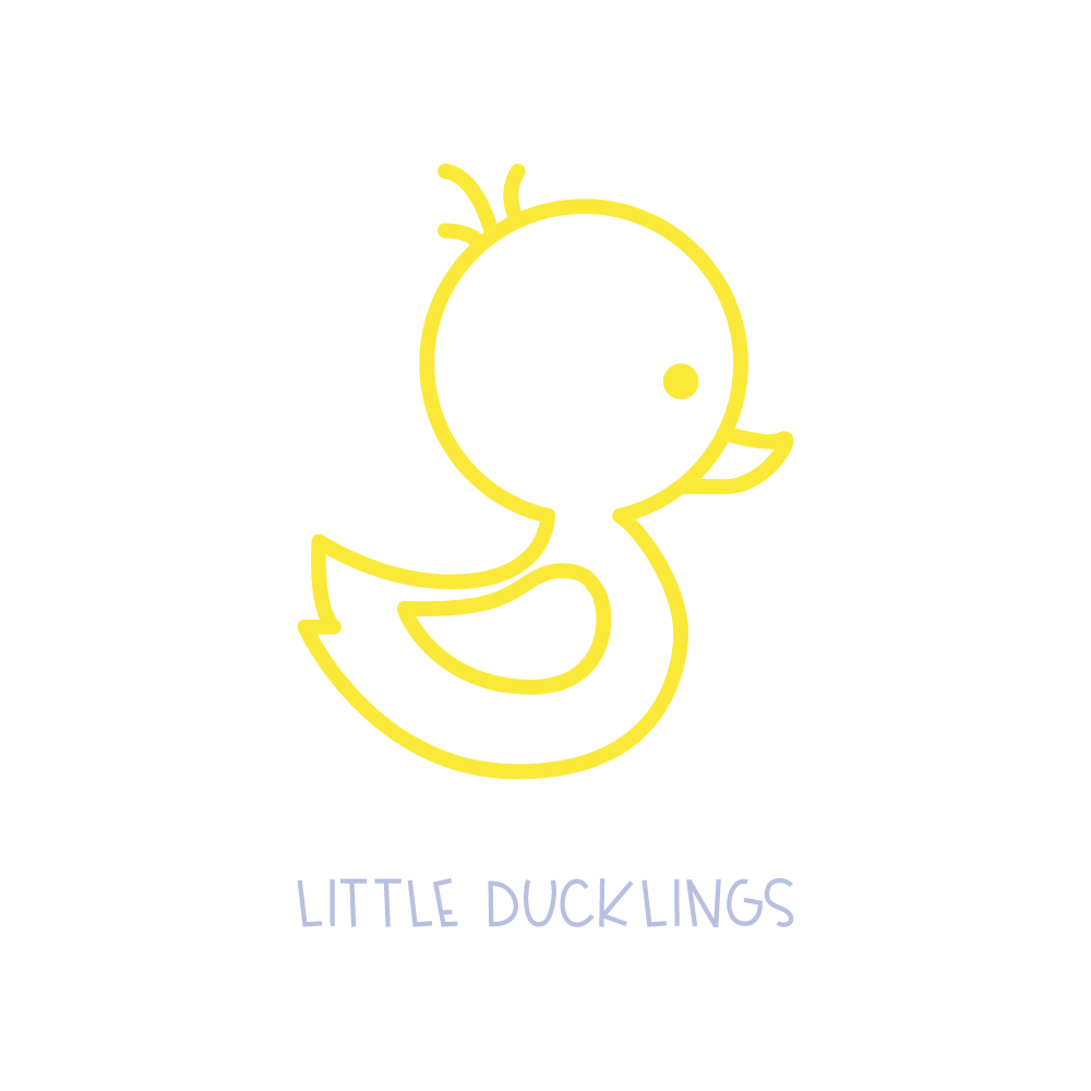 Little Ducklings Baby & Childrens Boutique's logo