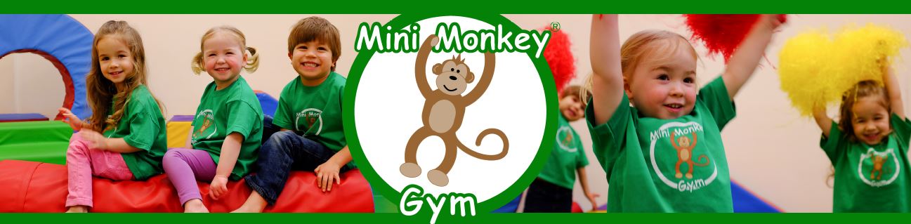 Mini Monkey Gym Poole and Bournemouth's main image