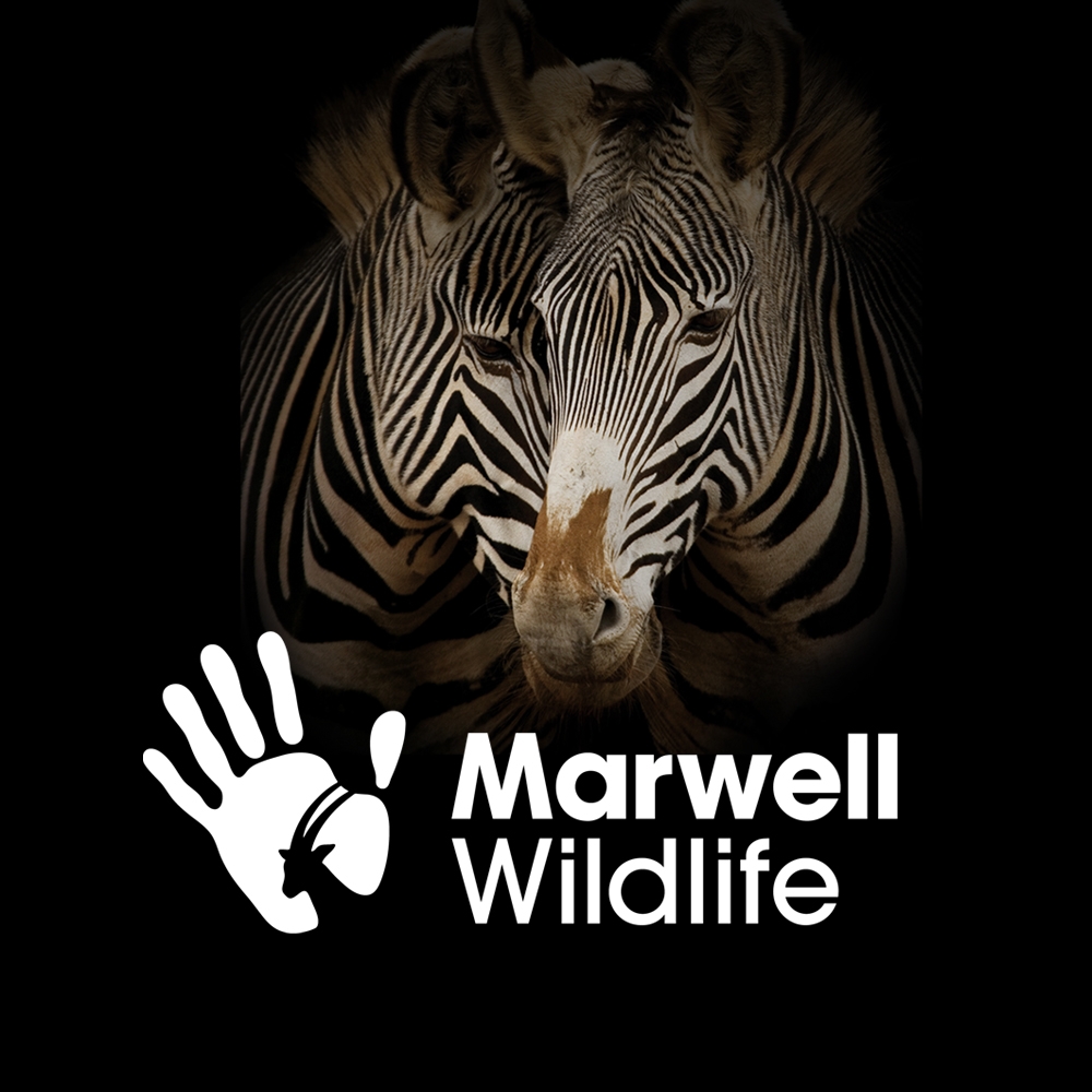 Marwell Zoo's logo