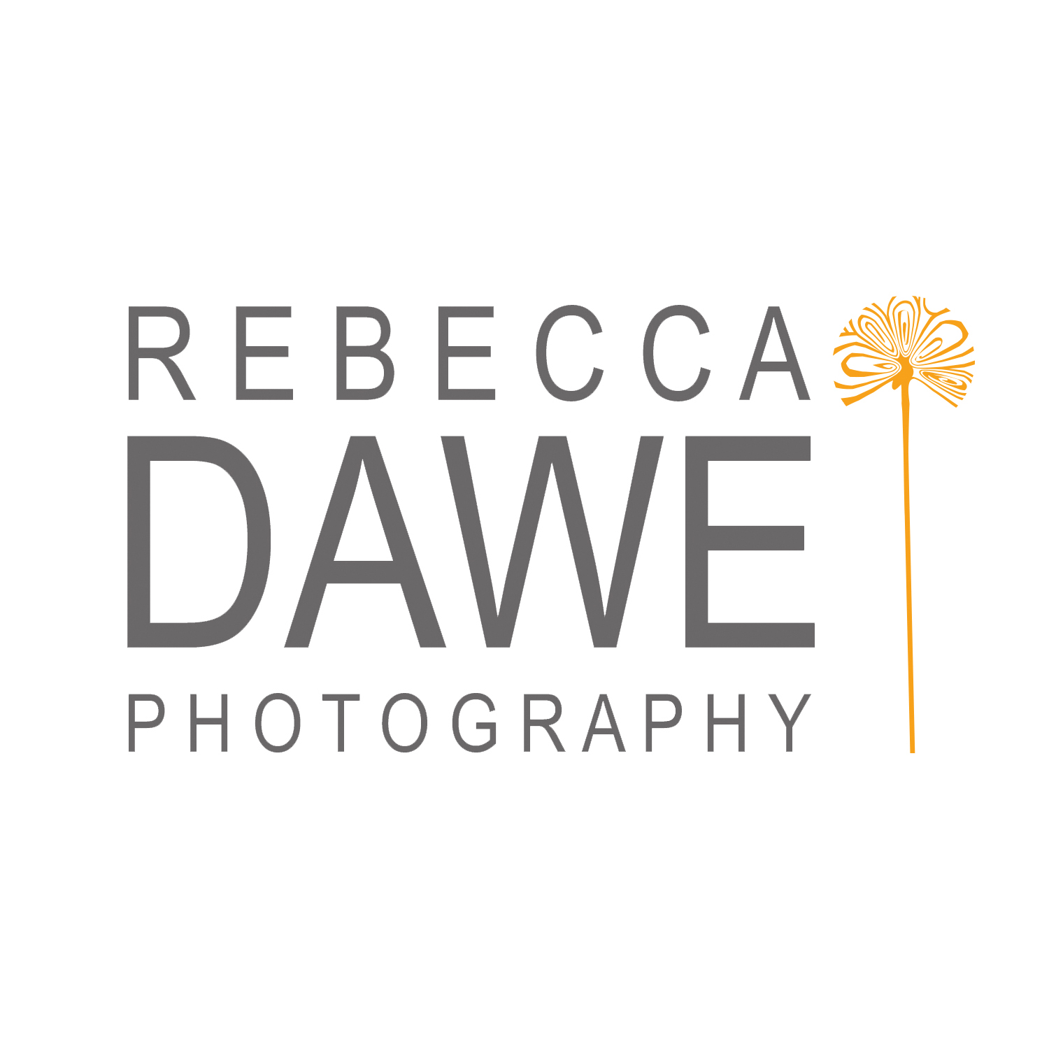 Rebecca Dawe Photography's logo