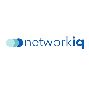 NetworkIQ's logo