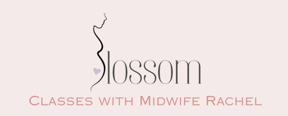 Blossom: Classes with Midwife Rachel's logo