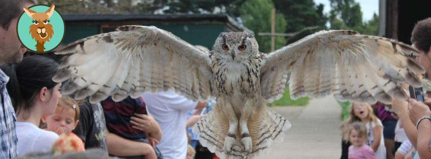 Hounslow Urban Farm's main image